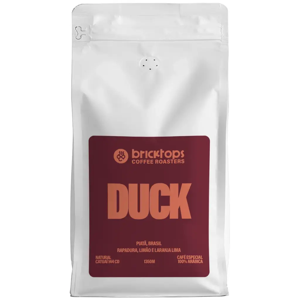 Duck 